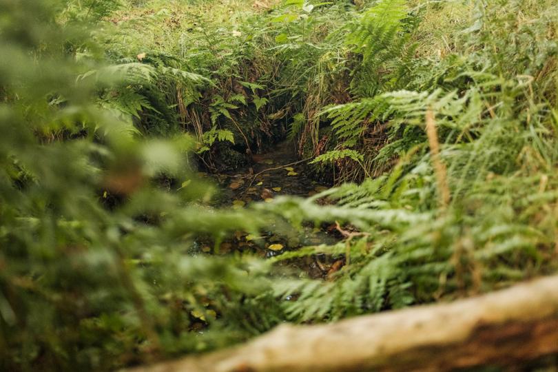 Die Röderradroute – Naturidylle entlang der Röder