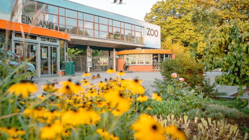 Zoo Dresden