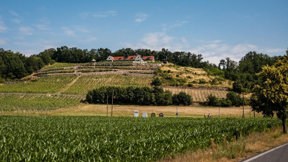 Weingut Herrenberg